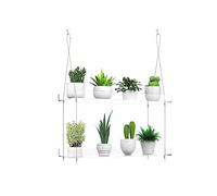 Étagères transparentes à suspendre pour fenêtres, 2 niveaux en acrylique pour fenêtre de cuisine, jardins d'intérieur, fleurs, plantes grasses, herbes, semis et pots de plantes