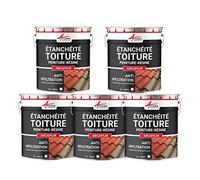 Étanchéité Toiture : Peinture résine d'étanchéité ARCAFILM pour Toit et Tuile Offre Spéciale : 5 x 10L - Blanc - ARCANE INDUSTRIES