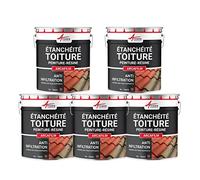 Étanchéité Toiture : Peinture résine d'étanchéité ARCAFILM pour Toit et Tuile Offre Spéciale : 5 x 10L - Tuile - ARCANE INDUSTRIES