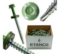 ETANCO GT02 Lot de 100 vis à tôle trapézoïdale 4,8 x 100 mm RAL 6011 vert reseda autoperceuses avec joint EPDM en acier galvanisé hexagonal pour tôle métallique sur bois