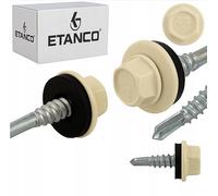 Etanco GT5 Vis autoperceuses métalliques (250, RAL 1015 - Ivoire clair, 5,5 x 25 mm)