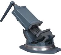 étau à 2 axes Inclinable 160 mm