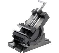 Étau de précision Largeur de mâchoires 100mm Pivotant Vertical Outil de maintien Établi Atelier
