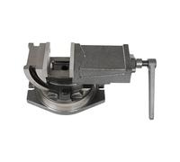 Étau d'établi 19 KN, étau en fonte ouverture de 80 mm, inclinable de 0 à 90 ° et rotatif à 360 °, échelle d'alignement précis, pour le traitement du métal, du bois, atelier créatif, 30 x 24 x 15 cm