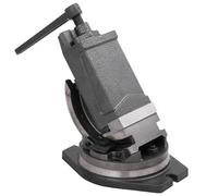 Etau Inclinable à 2 Axes 160 mm Serrage Perçage Fraisage Soudage Coupe vidaXL