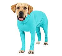 Etdane Combinaison de Convalescence chirurgicale pour Chien, empêche la Perte de Poils, Chemise de Sport, Combinaison pour anxiété, Bleu lac, Taille S