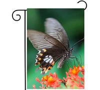 Été Tropical, Printemps, Magnifique Papillon Sur Une Fleur Rouge Drapeau Solide Drapeau De Jardin Résistant Aux Intempéries Garden Flag Pour Mur Cour Fête 30X45Cm