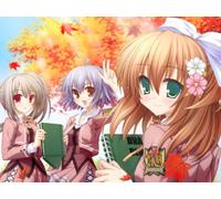 Eternal Etude: Canvas 4 [Limited Edition][Import Japonais]