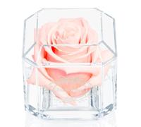 Eternal Petals A 100% Real Rose That Lasts Years - White Gold Solo (Blush)