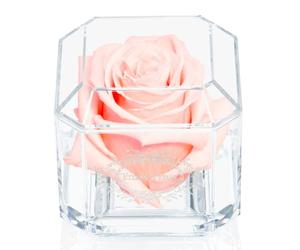 Eternal Petals A 100% Real Rose That Lasts Years - White Gold Solo (Blush)