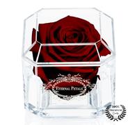 Eternal Petals A 100% Real Rose That Lasts Years - White Gold Solo (Burgundy)