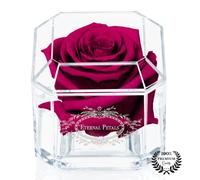 Eternal Petals A 100% Real Rose That Lasts Years - White Gold Solo (Cherry)