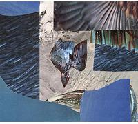 Eternal Summers - Correct Behaviour [Import]