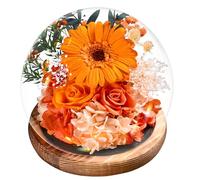Éternelle Rose Orange & Gerbera Orange sous Cloche, Fleurs Préservées Naturelles avec Lumière LED, Base en Bois de Pin et Carte de Voeux - Cadeau Femme, Maman pour Fête des Mères, Anniversaire