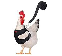 Eternitry Harnais de poule respirant pour animal domestique - Laisse de caneton - Laisse de poulet pour guider les poules, les canards ou les oies