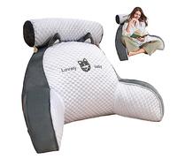 Eteslot Lecture, Dossier Oreiller Lombaire, Oreiller Calin avec accoudoir, Coussin Lecture pour lit ou canapé, Dossier lit, Lecture Mignon en Soie glacée