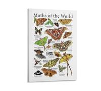 ETFUOEOS Celestial Moth Wall Art Set - Eco-Friendly Prints on Recycled Paper, Spiritual Insect Knowledge for Bedroom, Office, and Study Room(Framed,08x12inch(20x30cm))