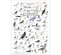 ETFUOEOS Vintage Cape Cod Bird Poster, North American Wildlife Art Print for Bedroom Wall Decor, Educational Gift for Students(Framed,12x18inch(30x45cm))