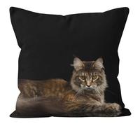 Ethereval Tissu De Lin Housse Coussin Jardin Impermeable Taie D'Oreillers 1Pcs, Chat Housse De Coussin New York Housse De Canapé Jardin Housses De Coussin 40x40cm