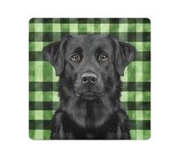 EtherSpher Sac de maquillage autocollant en tissu pour femme Motif écossais Vert 55 x 55 cm, Chien Noir Vert Buffalo Plaid Love Home Family Together St, 21.7x21.7in