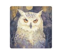 EtherSpher Sac de maquillage portable en tissu pour appareil photo Motif chouette enneigée Blanc 55 x 55 cm, Dessin animé mignon hibou enneigé blanc, 21.7x21.7in