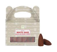 Ethniciti Satya Nag Champa Lot de 24 cônes d'encens à refoulement Sauge blanche