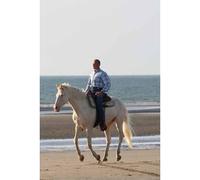 Éthologie équine - 90 conseils - Philippe Gérard - Vigot - broché - Guide