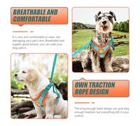 ETHZZLE Harnais Petit Chien avec Laisse Réfléchissante Kit Harnais Poitrine Léger pour Chiot Confort Extérieur Respirant