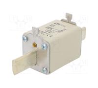 Insert de fusible NH1 25A gF 500V 004139111 WT-NH