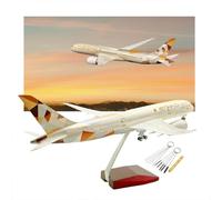 Etihad B787 43 cm Modèle d'avion en résine moulée sous pression à l'échelle 1:130 avec avion léger à commande vocale avec 10 outils de nettoyage de pointe pour les amateurs d'aviation (avec lumière)