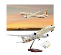 Etihad B787 43 cm Modèle d'avion en résine moulée sous pression à l'échelle 1:130 avec avion léger à commande vocale avec 10 outils de nettoyage de pointe pour les amateurs d'aviation (sans lumière)