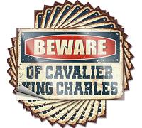 Étiquette Beware of Cavalier King Charles en vinyle imperméable et durable pour décoration de chambre à coucher, bibliothèque - Panneaux et décoration de caverne d'homme (8 x 12 cm) - 10 pièces