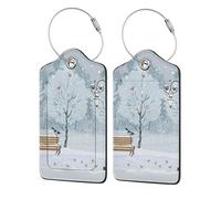 Étiquette de bagage avec inscription Birds in The Park On A Snowy Day pour valise, étiquettes de bagage durables avec boucle en métal avec étiquettes de protection en polyuréthane, étiquettes de nom