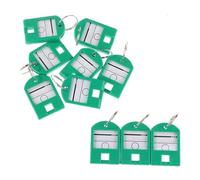 Étiquette De Porte-clés Colorée, 100 Pièces Pour Hôtels | Nom D'identification Adresse De La Pièce Numéro De TEL Marqueur Bagage Avec Anneau Fendu(Green)