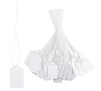 Étiquette de Prix, 500 Pièces 24x15mm Étiquettes Cartonnées avec Fil en coton, Mini Étiquettes de Marquage Vide Étiquettes de Prix pour Etiquette Vetement Vierges Inscriptibles Tags D'Affichage