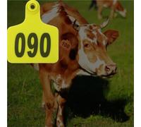 étiquette d'oreille Kit De 1 À 100 Boucles Auriculaires En Plastique Pour Le Bétail (bovins, Ovins Et Porcins), Boucles Rondes Pour Le Suivi Surveillance(L W 75mm x 60mm)