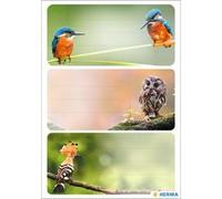 Étiquette pour livre 'Oiseaux'
