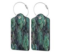 Étiquettes à bagages en cuir avec rabat d'intimité, 1 étiquette d'identification de voyage, plantes succulentes, porte-badge étanche avec boucle en acier inoxydable pour voyage, sac à dos