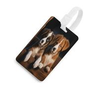 Étiquettes à bagages pour chiots et animaux de compagnie avec carte d'identité, protection de la vie privée, étiquettes de valise de voyage avec sangle en TPU, étiquettes d'identification de bagages