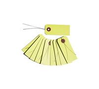 Etiquettes anis avec fil métallique x 10