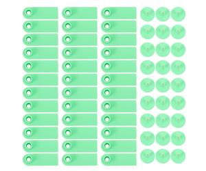 Étiquettes D’oreille Plastique, 100 Pièces Vert Clair | Conception Monobloc, Ventilation Douce, pour Vaches et Chevreaux, Suivi du Troupeau, des Pertes