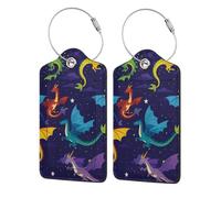 Étiquettes de bagage colorées Dragon Colony sous un ciel étoilé avec boucle en acier inoxydable, protection de confidentialité, motif unique amusant et mignon, 2 pièces
