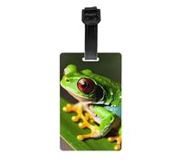 Étiquettes de bagages de bébé de grenouille d'arbres pour valises Étiquettes de sac durables pour la reconnaissance facile des sacs Essentiels de voyage