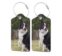 Étiquettes de bagages, étiquette de boucle en cuir et acier inoxydable, étiquette de nom, étiquette de bagage pour valises,Mauvais chien Border Collie