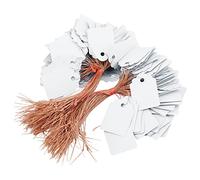 Étiquettes de plantes en plastique, étiquette de fleur suspendue, marqueur de nom de plante avec fil, écriture Double face sur les étiquettes pour Pots de jardinage, 200 pièces (Blanc)