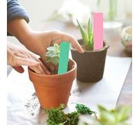 Étiquettes de Pot de Fleur de Plante en PVC, Marqueurs de Signe de Graine de Jardin de Pépinière, 100 Pièces (Rose, Vert)