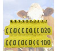 Étiquettes d'oreille de bovins Tags de vache Étiquette d'oreille d'identification du bétail pour vaches de bétail porcs gènes de moutons mollets animaux avec nombres