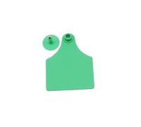 Étiquettes d'oreille sans texte en plastique multicolore 75 x 100 mm, lot de 5(Green 5pcs)