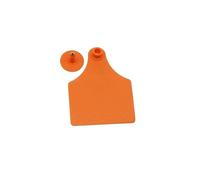 Étiquettes d'oreille sans texte en plastique multicolore 75 x 100 mm, lot de 5(Orange 5pcs)