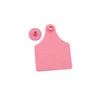 Étiquettes d'oreille sans texte en plastique multicolore 75 x 100 mm, lot de 5(Pink 5pcs)